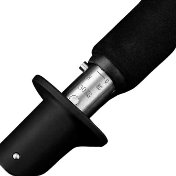 1pc Multifunctional Stainless Steel Fish Controller With 66.14LB Weightale, Fish Lip Gripper, Outdoor Fishing Tool